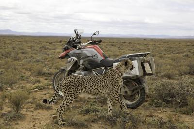 ONE WORLD. ONE BMW R 1200 GS-Tour, South Africa, 2013 - 2013/01/bmw_r1200_gs_lc-2013-onew-022.jpg