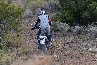 BMW R 1200 GS  Liquid Cooled 2013 - 2013/r1200gs-02/BMW_R1200_GS_LC-2013131_t1.jpg