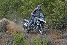 BMW R 1200 GS  Liquid Cooled 2013 - 2013/r1200gs-02/BMW_R1200_GS_LC-2013133_t1.jpg