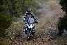 BMW R 1200 GS  Liquid Cooled 2013 - 2013/r1200gs-02/BMW_R1200_GS_LC-2013146_t1.jpg