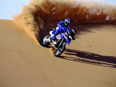  - paris-dakar-2001-bmw-motorrad-team-gauloises-06.jpg